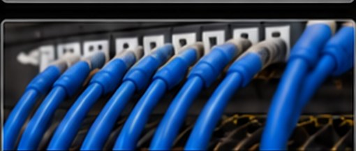 Network cables connected to a patch panel